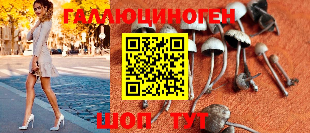 Галлюциногенные грибы мицелий Златоуст