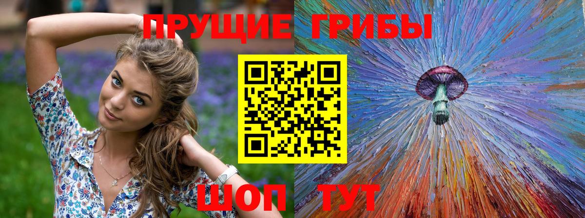 Златоуст  Псилоцибиновые грибы Magic Shrooms  купить  сайты  Вход с VPN 